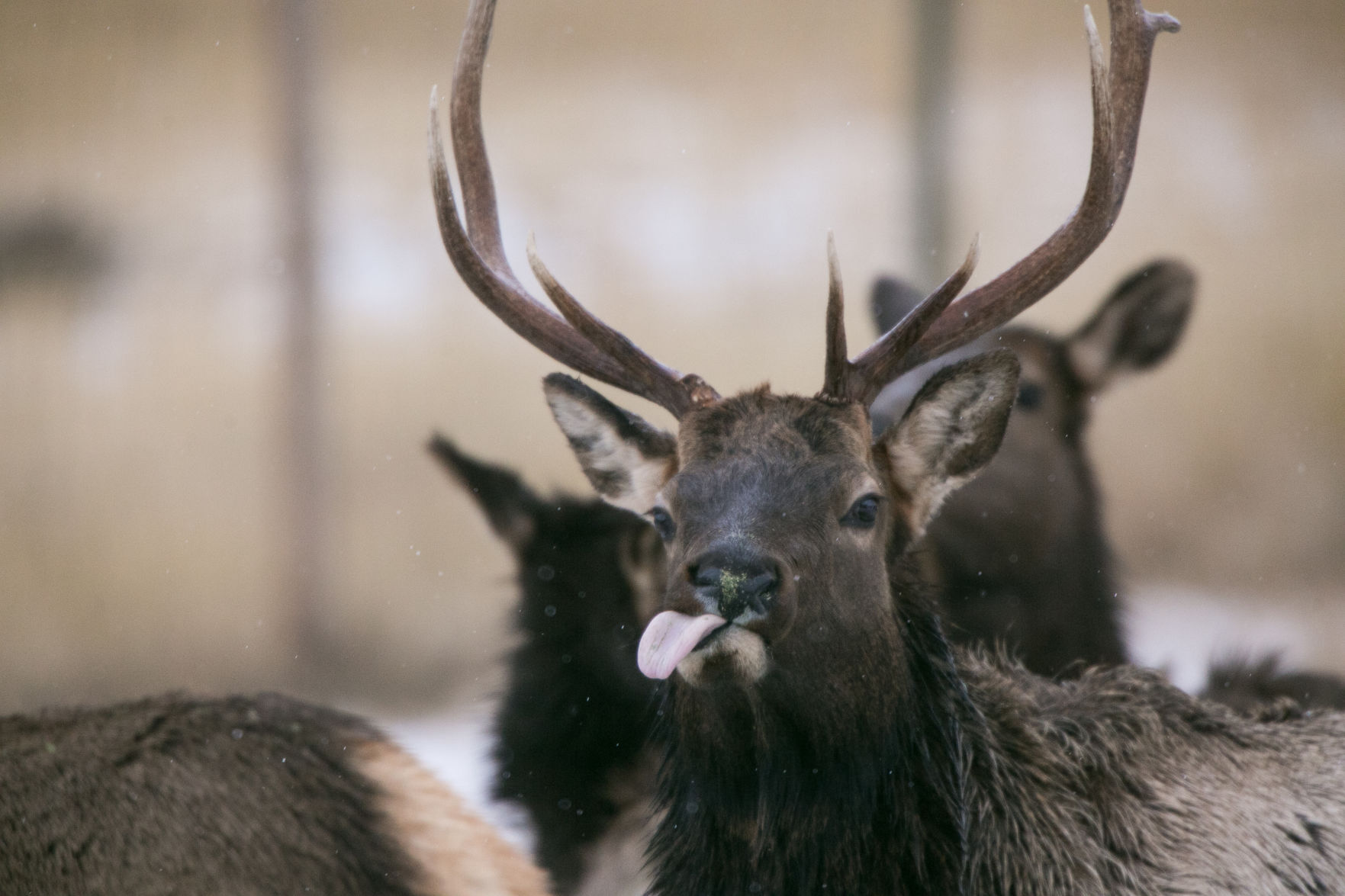 Jan. 22, 2020 | Oak Creek Wildlife Area
